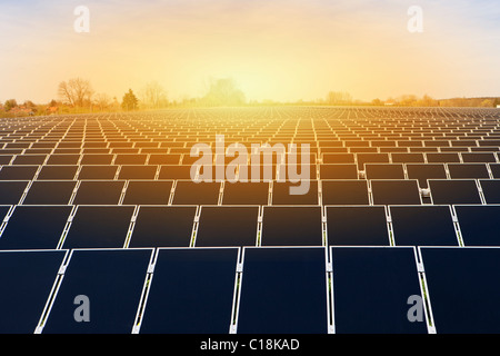 Grande energia solare impianto Foto Stock