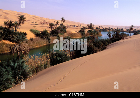 Libia, regione del deserto, Fezzan (Sahara), ERG Ubari, Lago di Oum El Ma Foto Stock