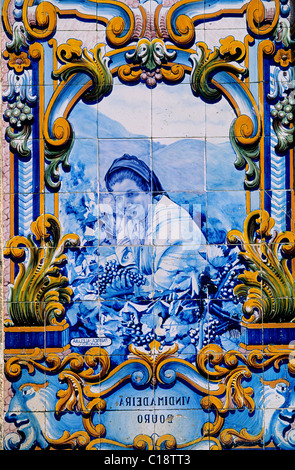 Il Portogallo, Pinhao (valle del Douro) azulejos sulla parete della stazione ferroviaria Foto Stock