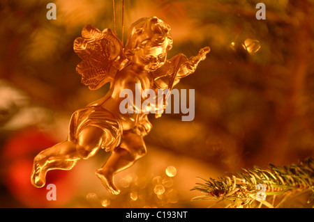 Angelo dorato, natale decorazione su un albero di pino Foto Stock