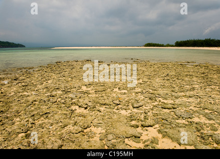 Isola Menjangan è una destinazione di immersione situato nell'angolo nord-ovest di Bali, Indonesia con belle spiagge di sabbia bianca. Foto Stock