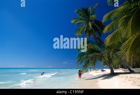 Palm Beach sull'Isola di Saona, Parque Nacional del Este, Repubblica Dominicana, dei Caraibi Foto Stock