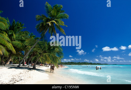Palm Beach sull'Isola di Saona, Parque Nacional del Este, Repubblica Dominicana, dei Caraibi Foto Stock