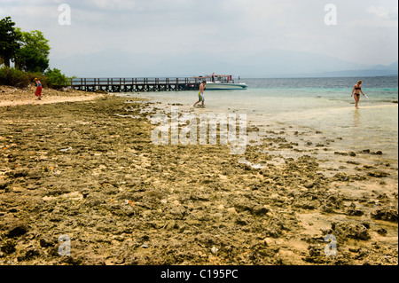 Isola Menjangan è una destinazione di immersione situato nell'angolo nord-ovest di Bali, Indonesia con belle spiagge di sabbia bianca. Foto Stock