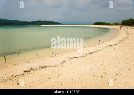 Isola Menjangan è una destinazione di immersione situato nell'angolo nord-ovest di Bali, Indonesia con belle spiagge di sabbia bianca. Foto Stock