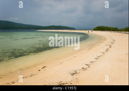 Isola Menjangan è una destinazione di immersione situato nell'angolo nord-ovest di Bali, Indonesia con belle spiagge di sabbia bianca. Foto Stock