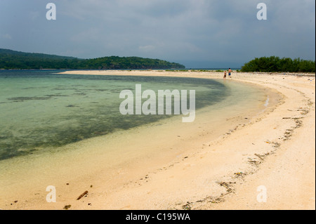 Isola Menjangan è una destinazione di immersione situato nell'angolo nord-ovest di Bali, Indonesia con belle spiagge di sabbia bianca. Foto Stock