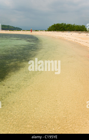 Isola Menjangan è una destinazione di immersione situato nell'angolo nord-ovest di Bali, Indonesia con belle spiagge di sabbia bianca. Foto Stock