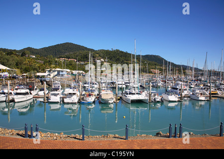 Abel Point Marina si trova a Airlie Beach in Whitsundays, Queensland. Foto Stock