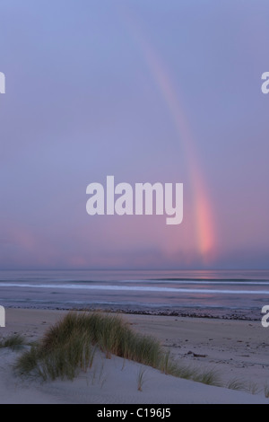 Rainbow sulla costa occidentale nella luce della sera, Anatori, Tasmania, Isola del Sud, Nuova Zelanda Foto Stock