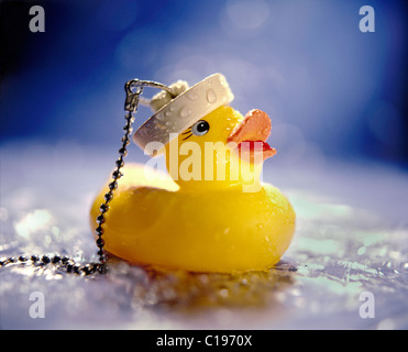 Rubber Duck galleggiante in acqua indossando tappo di scarico per hat. Foto Stock
