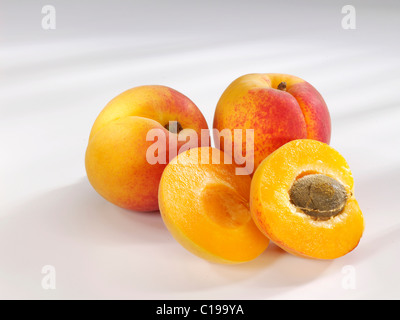 Intero e la metà delle albicocche (Prunus armeniaca) Foto Stock