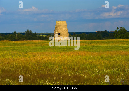 Prato di fiori e il vecchio mulino vicino a Saka, Estonia, paesi baltici, Europa Foto Stock