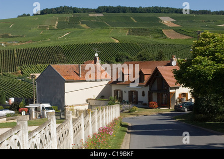 Case e vigneti, Champagne, Francia, Europa Foto Stock