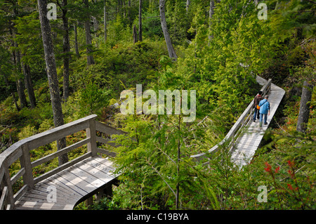 Passeggiata attraverso la foresta di pioggia che portano dalla strada al Long Beach sull'Isola di Vancouver, British Columbia, Canada Foto Stock