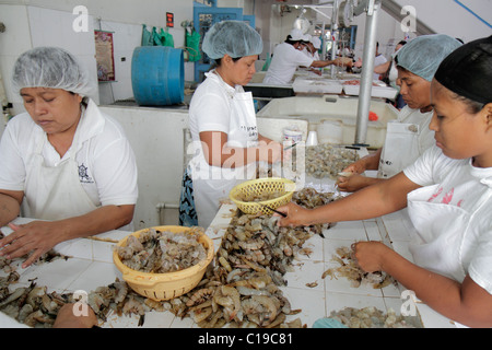 Panama,America latina,America centrale,Città di Panama,Ancon,Mercado de Mariscos,mercato,mercante,gamberi,gamberi,gamberi,pesce,stalla,cibo locale,lavorazione,sgranatura,hai Foto Stock