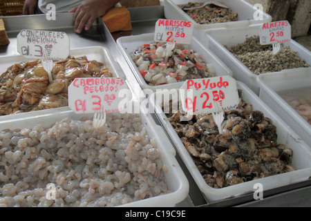 Panama Panama Panama City,Ancon,Mercado de Mariscos,mercato,vendita,shopping shopper shopping shopping negozi mercato mercati di mercato di acquisto vendere,negozio al dettaglio stor Foto Stock