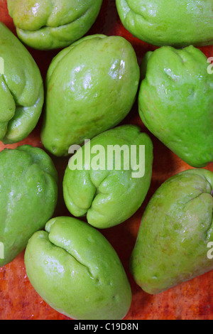 Chayote mango fruit squash vegetale mirliton Foto Stock