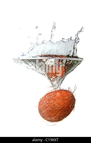Noce di cocco in acqua splash isolati su sfondo bianco Foto Stock
