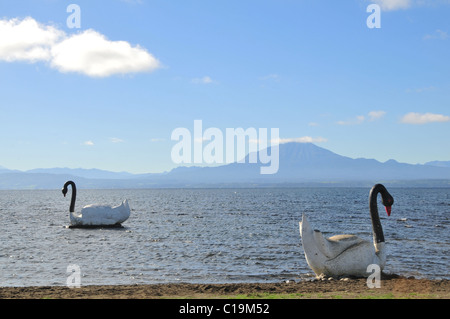 Vista dal lungolago verso Volcan Calbuco, di due grandi bianchi cigni artificiale sulle acque blu del Lago Llanquihue, Cile Foto Stock