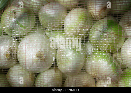 Molti onion vista dal sacco net nel mercato Foto Stock