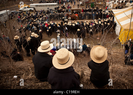 Uomini Amish guarda il cavallo asta durante il fango annuali di vendita per supportare il dipartimento dei vigili del fuoco Foto Stock