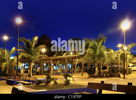 Puerto Morelos notte palme in riviera maya Foto Stock