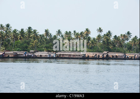 Case galleggianti sulla costa, Kerala Backwaters, Alleppey, Alappuzha distretto, Kerala, India Foto Stock