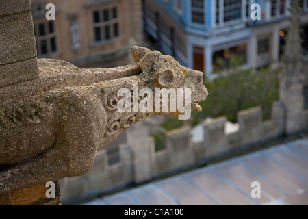 Gargoyle sulla torre di Santa Maria / università chiesa di Santa Maria Vergine a Oxford, Oxfordshire, England, Regno Unito Foto Stock