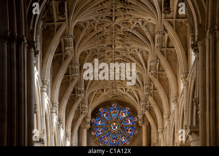 In vetro colorato e la nervatura-soffitto della cattedrale di Christ Church di Oxford University, Oxfordshire, England, Regno Unito Foto Stock