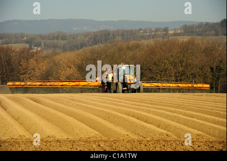 La spruzzatura di erbicida su un neo-piantati campo di patate, prima del rivestimento con il vello di proteggere contro le gelate tardive Foto Stock