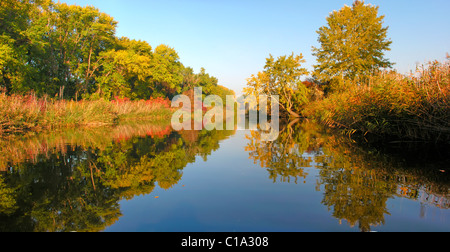 Paesaggio autunnale Foto Stock