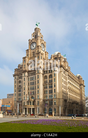 Il Royal Liver Building in Liverpool Merseyside Regno Unito Foto Stock