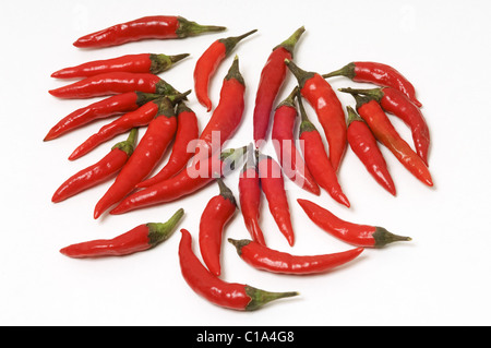 Occhio di peperoncino su sfondo bianco Foto Stock