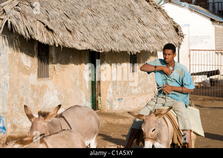 Scena Foreshore, Old Stone Town, Lamu, Kenya Foto Stock