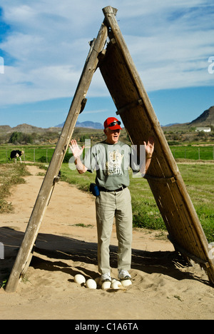 Uomo in piedi su uova di struzzo, Highgate struzzo Farm Show, Oudtshoorn, Sud Africa Foto Stock