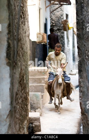 Scena di strada, Old Stone Town, Lamu, Kenya Foto Stock