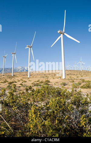 Fattoria eolica, Indian Wells, CALIFORNIA, STATI UNITI D'AMERICA Foto Stock