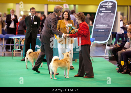 Il Crufts International dog show 2011 Foto Stock