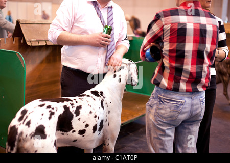 Il Crufts International dog show 2011 Foto Stock