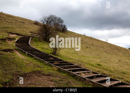 Gradini in legno che fornisce facile accesso al diametro esterno superiore St Catherines Hill Winchester Foto Stock