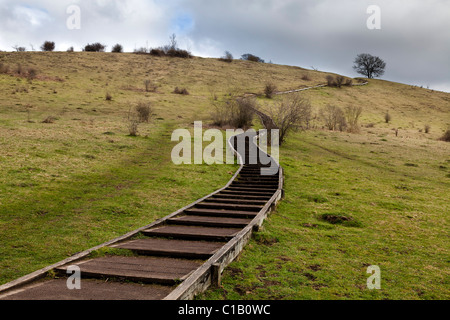 Gradini in legno che fornisce facile accesso al diametro esterno superiore St Catherines Hill Winchester Foto Stock