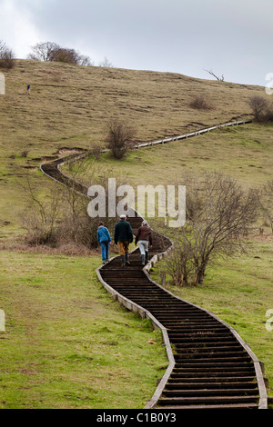 Gradini in legno che fornisce facile accesso al diametro esterno superiore St Catherines Hill Winchester Foto Stock