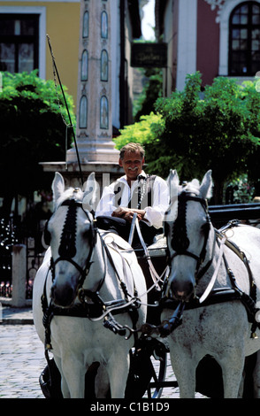 Ungheria, nella contea di Pest, città di Szentendre sulla curva del Danubio, carrozza sulla piazza principale Foto Stock