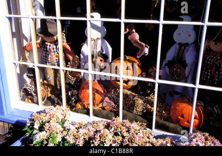 Stati Uniti, Massachusetts, Rockport, il collo Bearskin o sopportare la pelle del collo, negozio decorata per Halloween Foto Stock