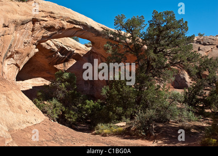 Stati Uniti d'America, Utah, Moab. 75 ft uranio Arch è NW di Moab in Courthouse pascolo. Foto Stock