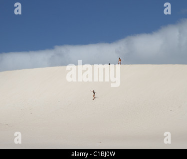 Sand Boarding a Little Sahara, Kangaroo Island, Sud Australia Foto Stock