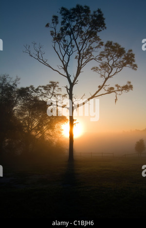 North Florida Camp cristiana sunrise. Foto Stock