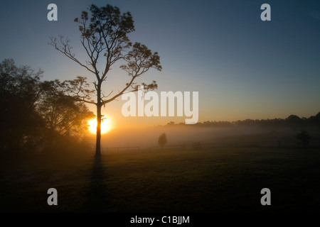 North Florida Camp cristiana sunrise. Foto Stock