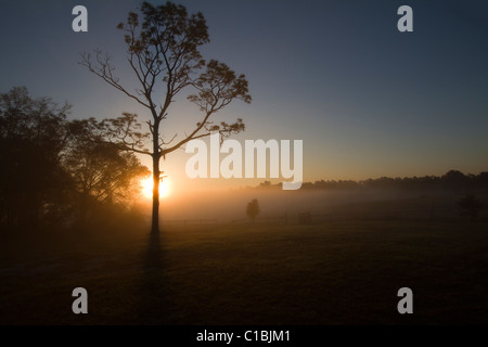 North Florida Camp cristiana sunrise. Foto Stock